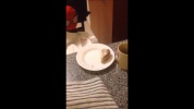 tarea santi.mp4