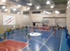 Club Sportif Volley