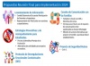 Constitutción CESCE / Comité de Buena Convivencia Escolar 2024
