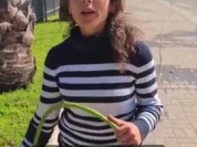 Videos sub  FR.mp4