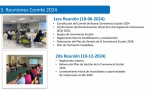 1º Reunión 2025 Comité de Convivencia Escolar y Comité d'éducation à la santé et à la citoyenneté et à l'environnement (CESCE)