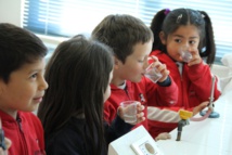 Semaine de Sciences : la visite des laboratoires continue - Semana de las ciencias : la visita de los laboratorios continua Semaine de Sciences : la visite des laboratoires continue - Semana de las ciencias : la visita de los laboratorios continua