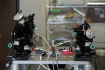 Visita del Centro Interdisciplinario de Neurociencia de Valparaíso Visita del Centro Interdisciplinario de Neurociencia de Valparaíso