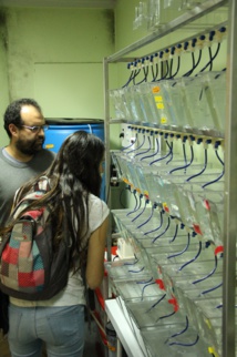 Visita del Centro Interdisciplinario de Neurociencia de Valparaíso