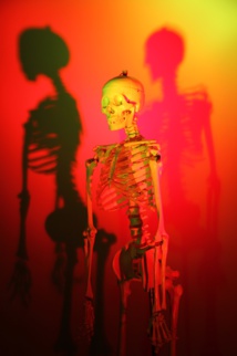 Foire aux Sciences Foire aux Sciences