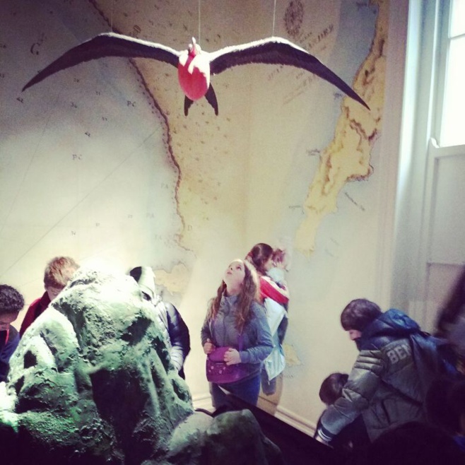 Visita 6èmes al Museo de Historia Natural de Valparaíso y al Acuario de Valparaíso.