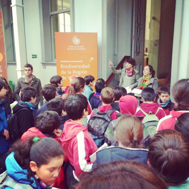 Visita 6èmes al Museo de Historia Natural de Valparaíso y al Acuario de Valparaíso. Visita 6èmes al Museo de Historia Natural de Valparaíso y al Acuario de Valparaíso.