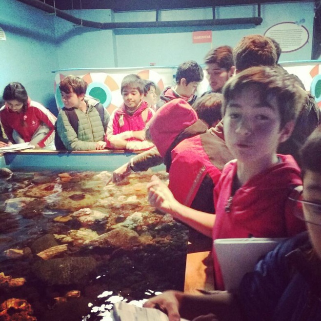 Visita 6èmes al Museo de Historia Natural de Valparaíso y al Acuario de Valparaíso.