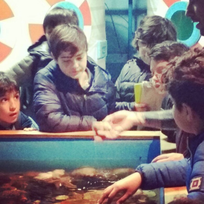 Visita 6èmes al Museo de Historia Natural de Valparaíso y al Acuario de Valparaíso.