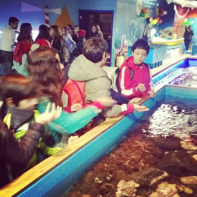 Visita 6èmes al Museo de Historia Natural de Valparaíso y al Acuario de Valparaíso.