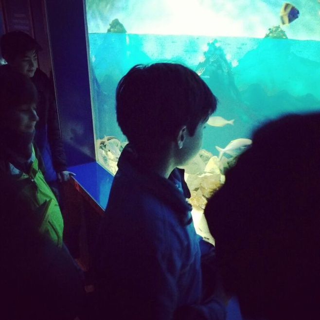 Visita 6èmes al Museo de Historia Natural de Valparaíso y al Acuario de Valparaíso.