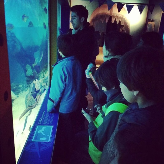Visita 6èmes al Museo de Historia Natural de Valparaíso y al Acuario de Valparaíso.