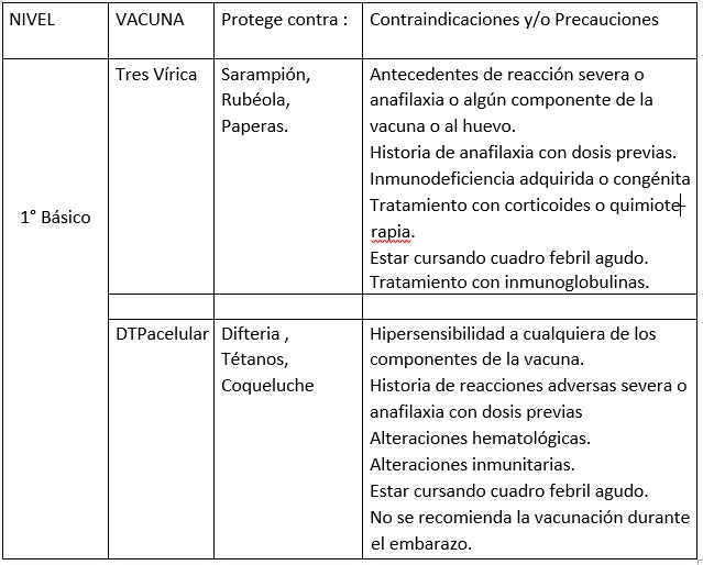 CAMPAÑA DE VACUNACIÓN EN SEPTIEMBRE PARA LOS 1º, 4º, 5º y 8º BÁSICOS