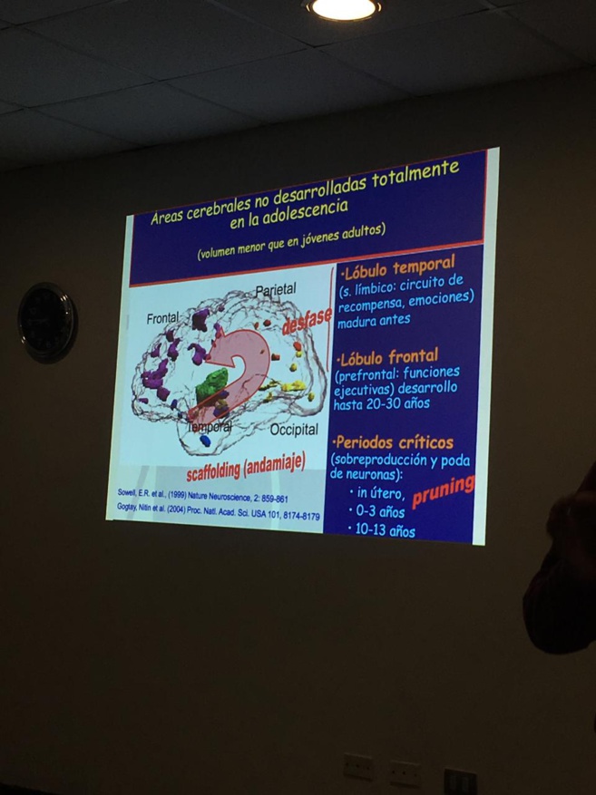 “Alcohol y drogas: la influencia en el comportamiento”.