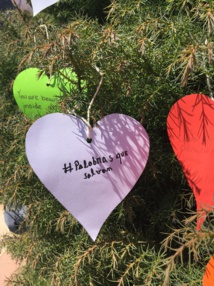 Las palabras que salvan de los 6tos básicos  Las palabras que salvan de los 6tos básicos