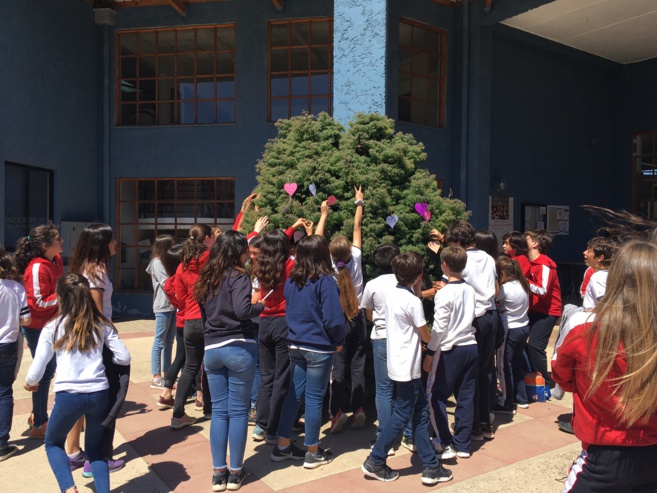 Las palabras que salvan de los 6tos básicos  Las palabras que salvan de los 6tos básicos