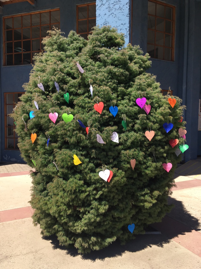 Las palabras que salvan de los 6tos básicos  Las palabras que salvan de los 6tos básicos