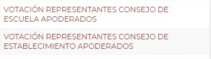 VOTACIONES ONLINE REPRESENTANTES APODERADOS PARA CONSEJOS DE ESTABLECIMIENTO Y DE ESCUELA VOTACIONES ONLINE REPRESENTANTES APODERADOS PARA CONSEJOS DE ESTABLECIMIENTO Y DE ESCUELA