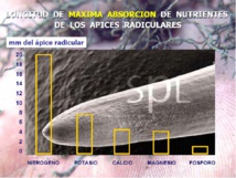"Il faut cultiver notre jardin" - #LJDAenTransition "Il faut cultiver notre jardin" - #LJDAenTransition