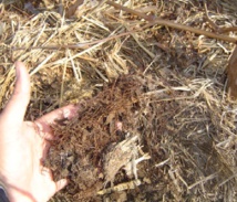 "Il faut cultiver notre jardin" - #LJDAenTransition "Il faut cultiver notre jardin" - #LJDAenTransition