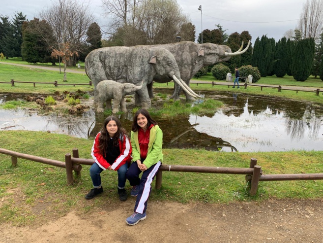 OLIMPIADAS DE MATEMÁTICAS Y EXPOSÉS – OSORNO