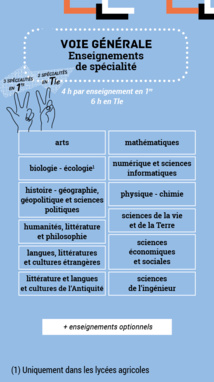 Reforma del Bac : Presentación de algunas especialidades Reforma del Bac : Presentación de algunas especialidades