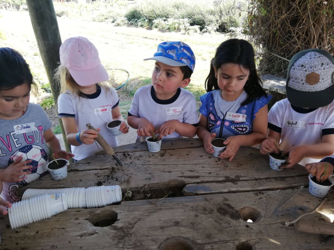 Sortie pédagogique à la ferme (Moyenne section) Sortie pédagogique à la ferme (Moyenne section)