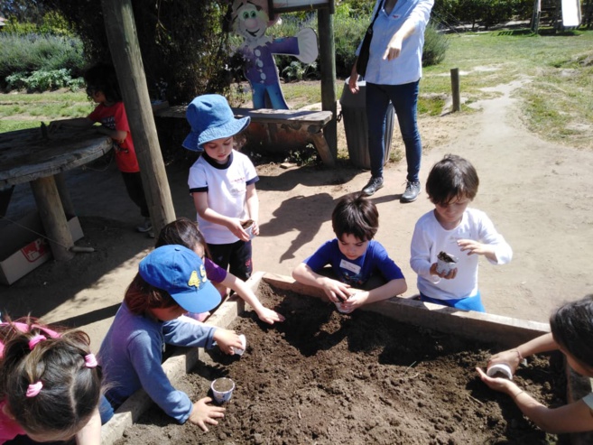 Sortie pédagogique à la ferme (Moyenne section) Sortie pédagogique à la ferme (Moyenne section)