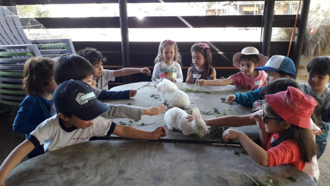 Sortie pédagogique à la ferme (Moyenne section) Sortie pédagogique à la ferme (Moyenne section)