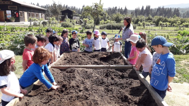 Sortie pédagogique à la ferme (Moyenne section) Sortie pédagogique à la ferme (Moyenne section)