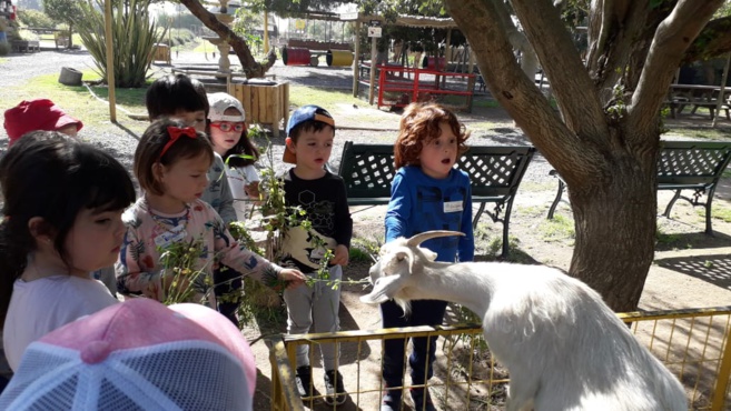 Sortie pédagogique à la ferme (Moyenne section) Sortie pédagogique à la ferme (Moyenne section)