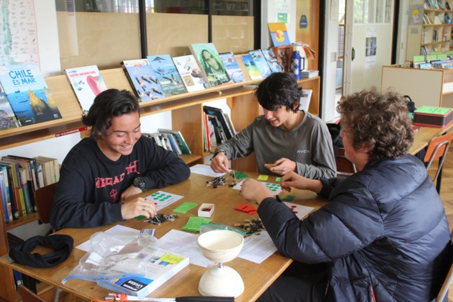 Entender el desarrollo sostenible jugando Entender el desarrollo sostenible jugando