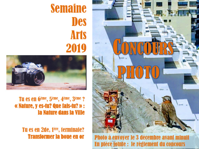Semana de las Artes 2019: Concurso de Foto Semana de las Artes 2019: Concurso de Foto