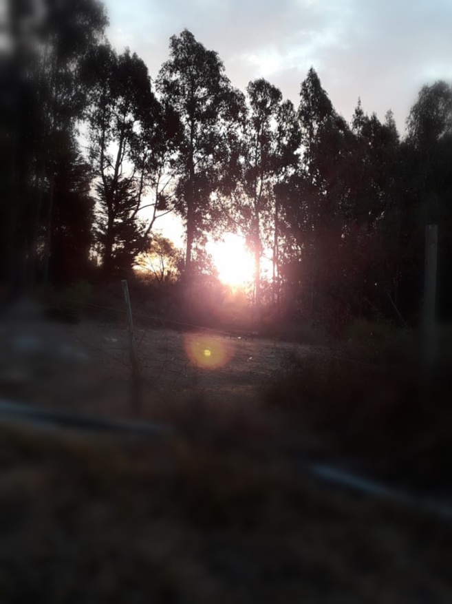 Concours de photographie Concours de photographie