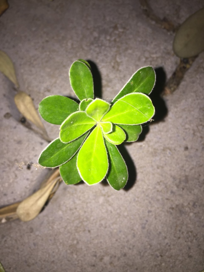 Concurso de fotografía Concurso de fotografía