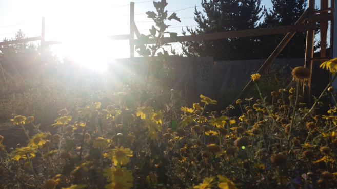 Concurso de fotografía Concurso de fotografía