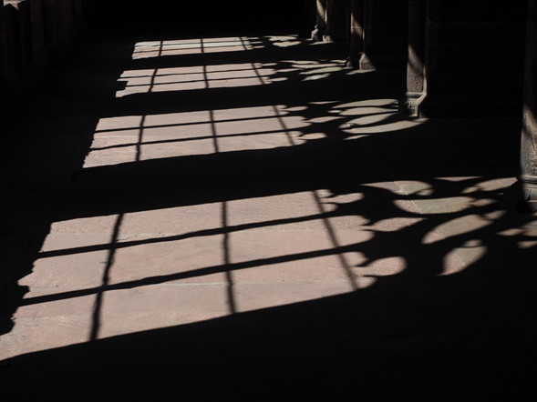 Image par Hans Braxmeier de Pixabay
