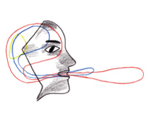 Les élèves de Terminale jouent au plurilanguisme