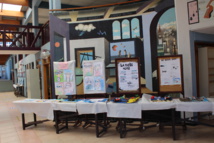 PROJET TARA : UN VOYAGE PAS COMME LES AUTRES POUR LES CM1 ET CM2 PROJET TARA : UN VOYAGE PAS COMME LES AUTRES POUR LES CM1 ET CM2