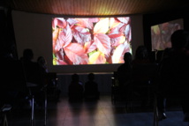 Festival de courts métrages en CP Festival de courts métrages en CP