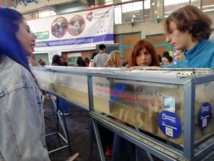 Simón Donoso 2nd A en la Feria de las Ciencias, el Arte y la Cultura "Educación Futuro 2022"