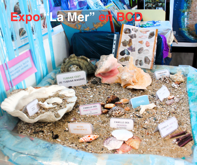 Marée haute dans le BCD Marée haute dans le BCD