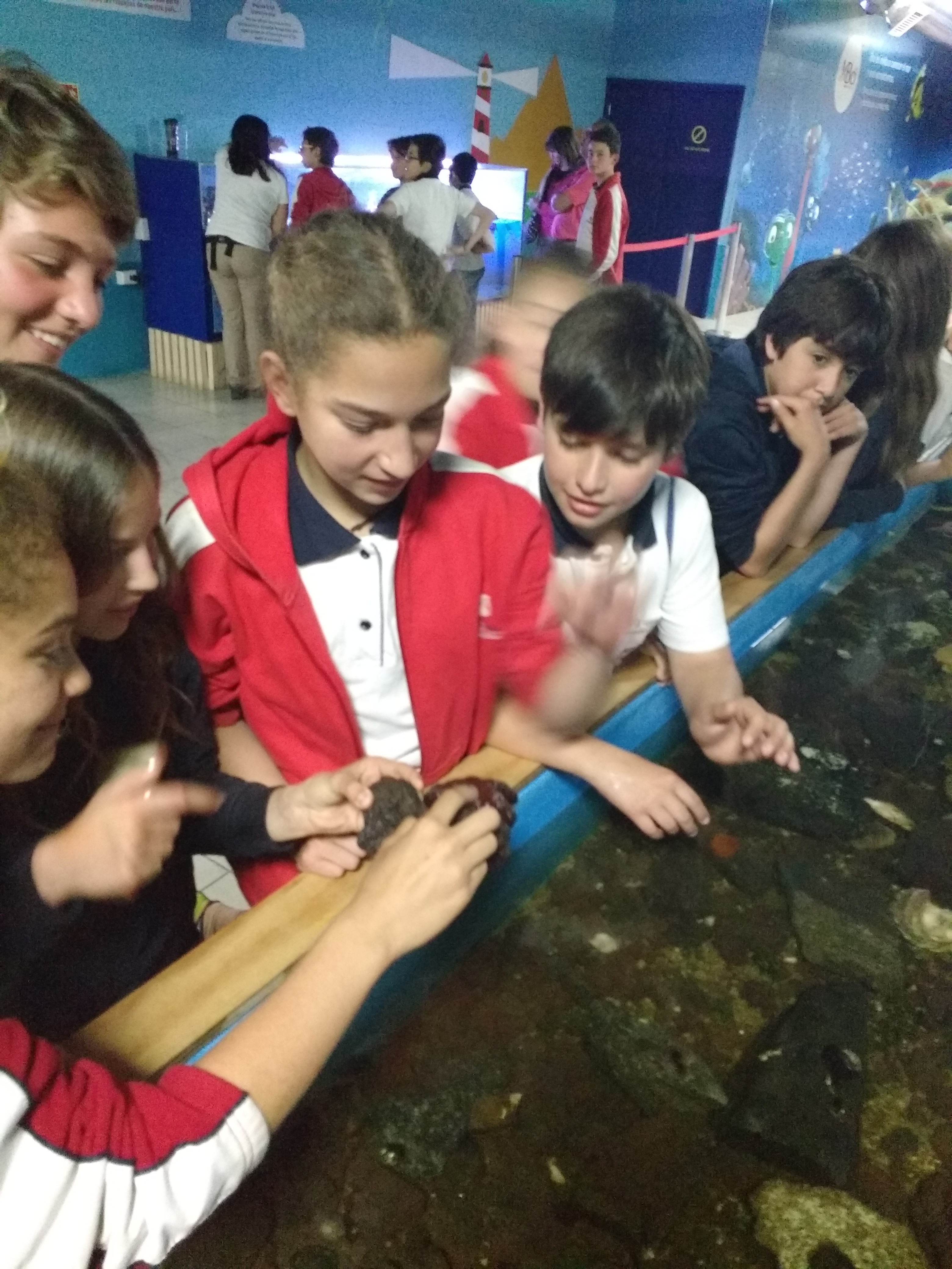Visita 6emes al Acuario de Valparaíso