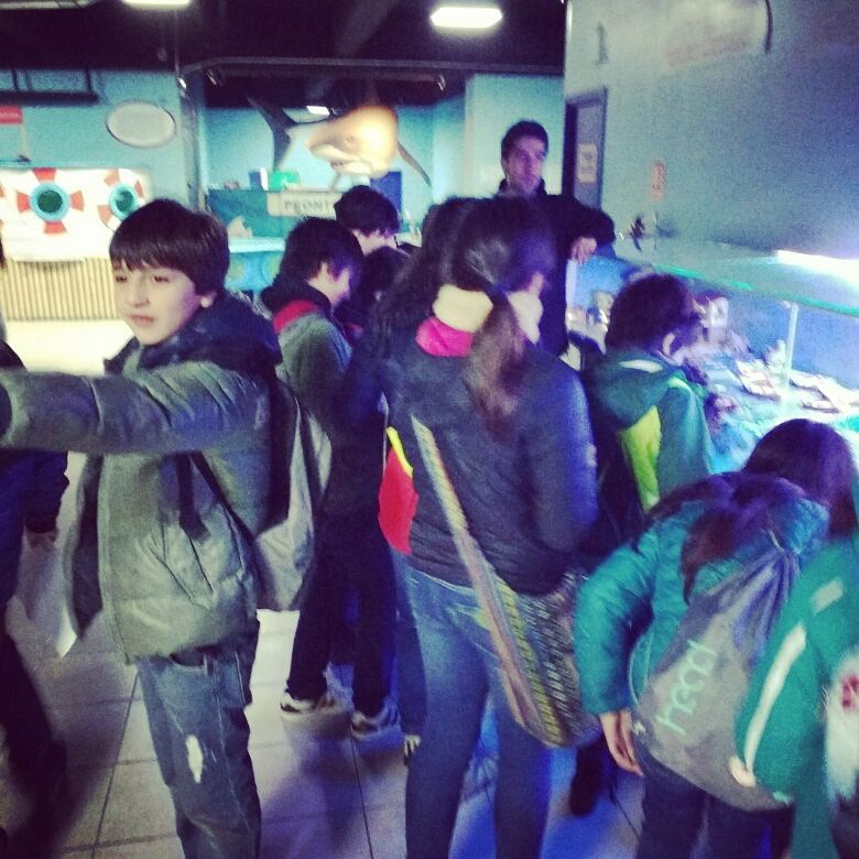 Visita 6èmes al Museo de Historia Natural de Valparaíso y al Acuario de Valparaíso.