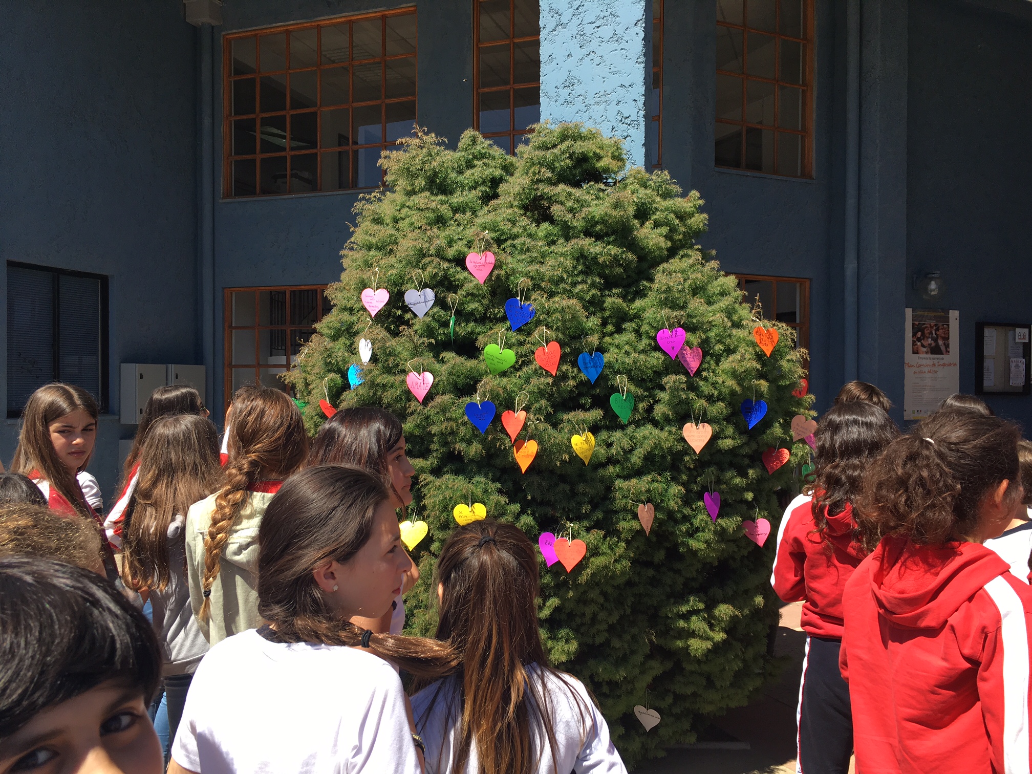 Las palabras que salvan de los 6tos básicos  Las palabras que salvan de los 6tos básicos