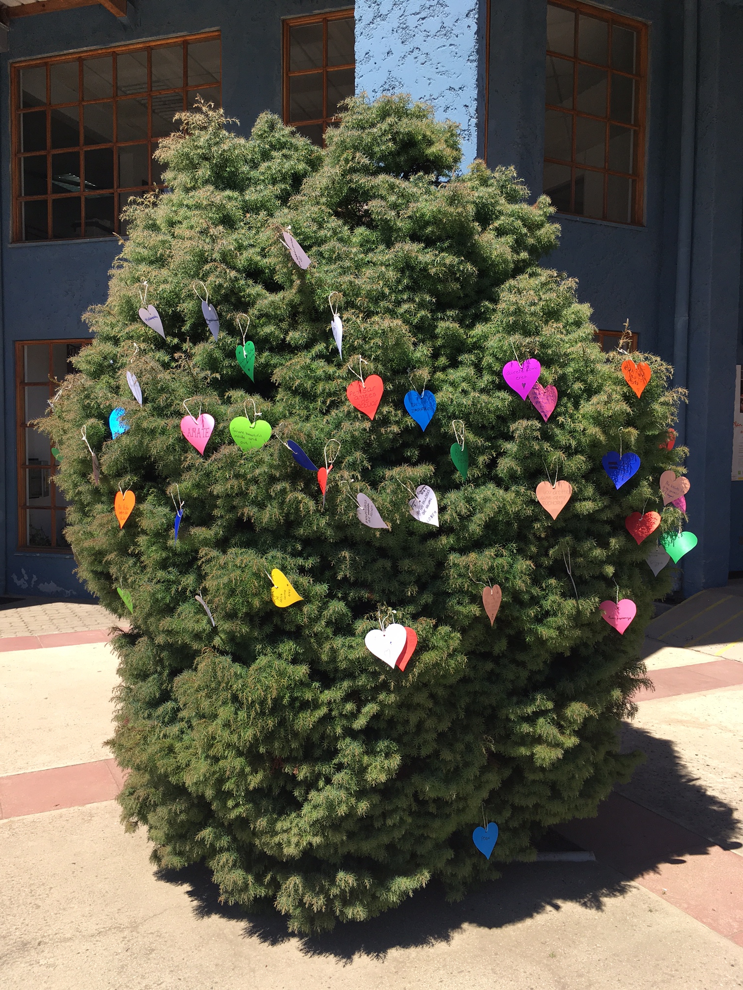 Las palabras que salvan de los 6tos básicos  Las palabras que salvan de los 6tos básicos