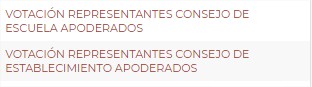 VOTACIONES ONLINE REPRESENTANTES APODERADOS PARA CONSEJOS DE ESTABLECIMIENTO Y DE ESCUELA 
