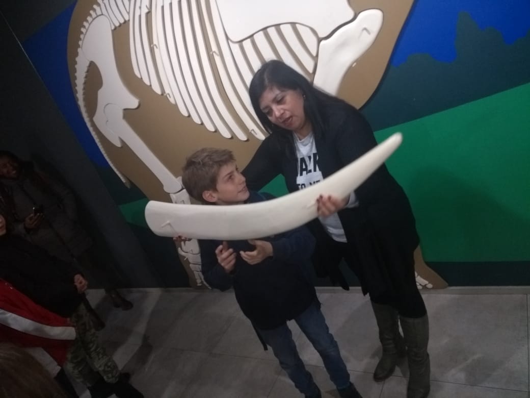 OLIMPIADAS DE MATEMÁTICAS Y EXPOSÉS – OSORNO
