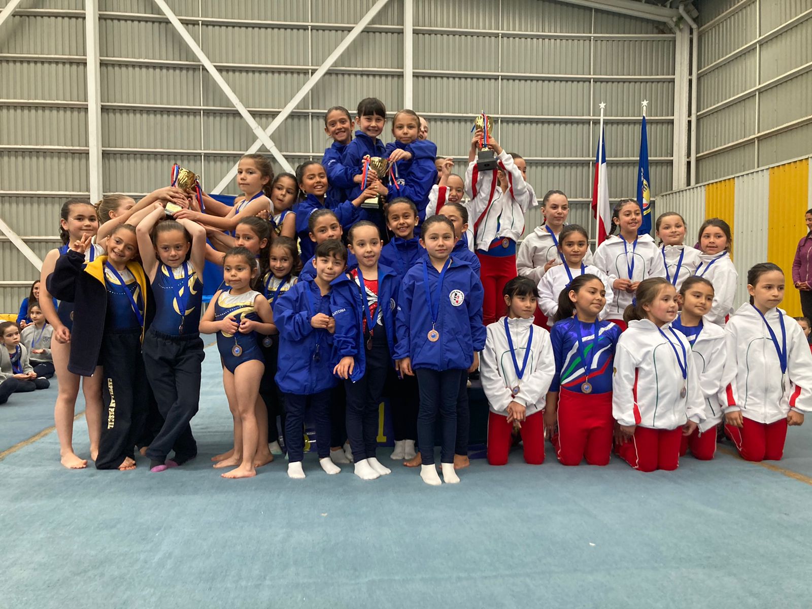 Campeonato de gimnasia artística femenina Categoría Nivel 1