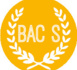 El  bachillerato S (Científico)
